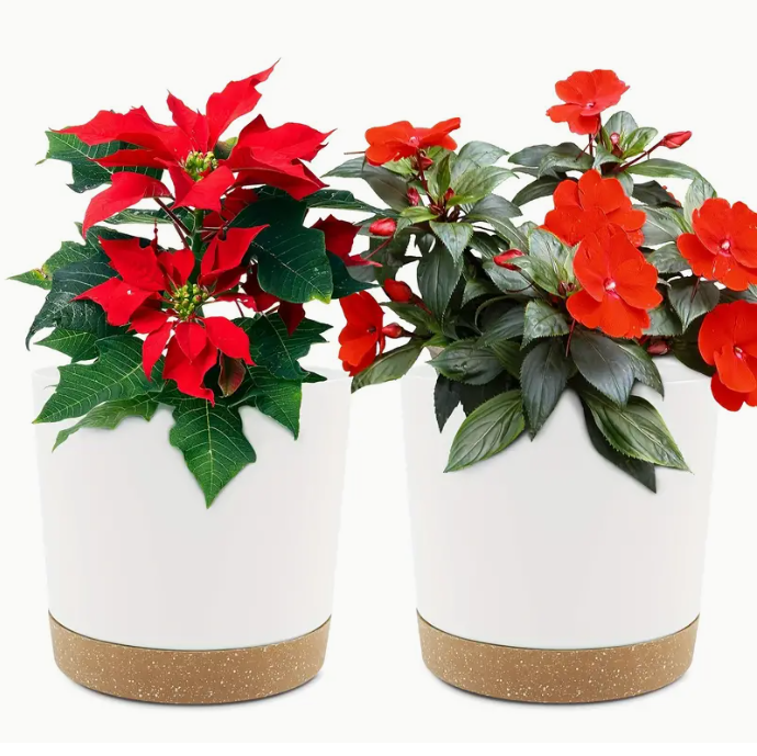 ADA 25cm Planters – Set of 2, Indoor/Outdoor Pots, Flower Pots with Drainage & Saucers Plant Pots (White Milky)