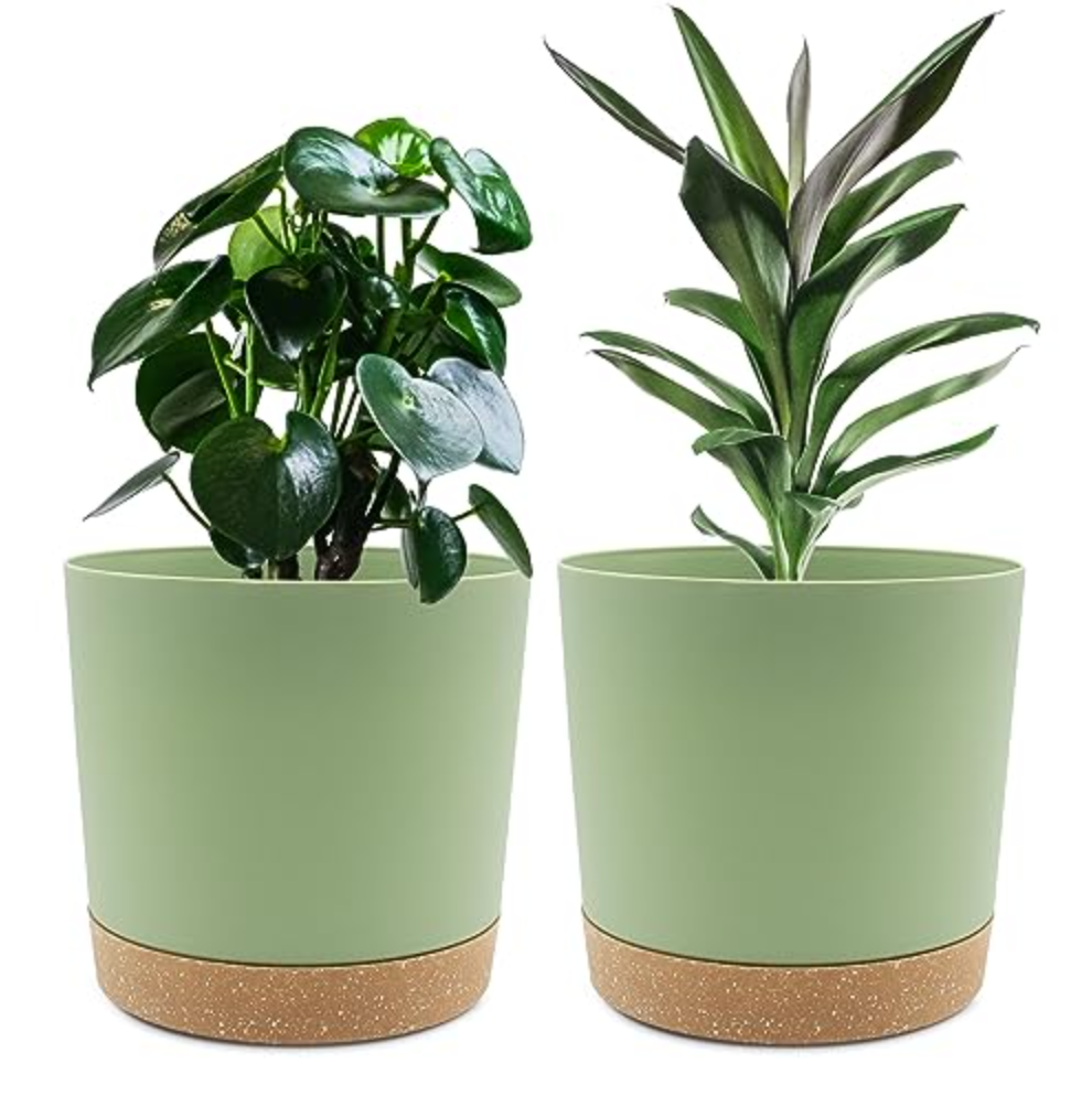 ADA 20cm Plant Pots Set – 2 Pack, Saucer Modern Indoor/Outdoor Planters with Drainage & Removable Base (Green)